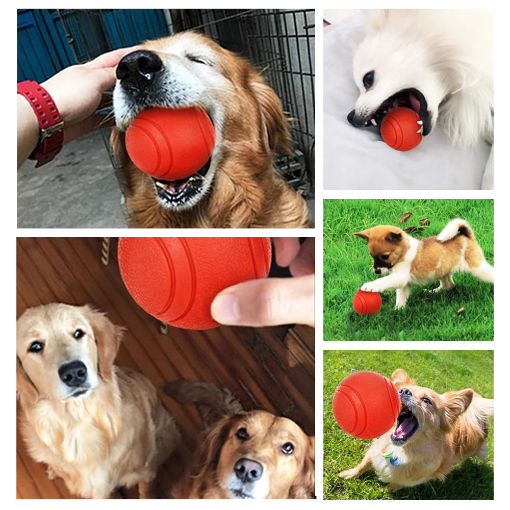 Rubber Squeaky Dog Toy Ball for Pets