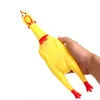 Screaming Chicken Toy for Dogs