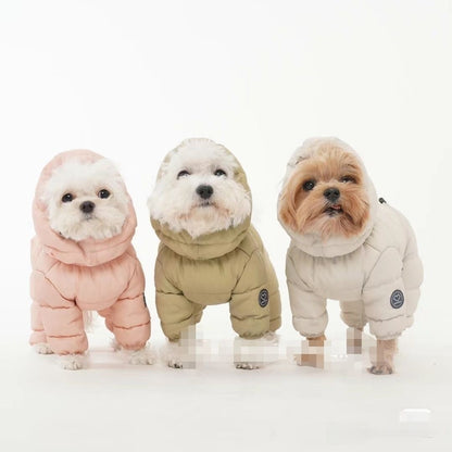 pet clothing