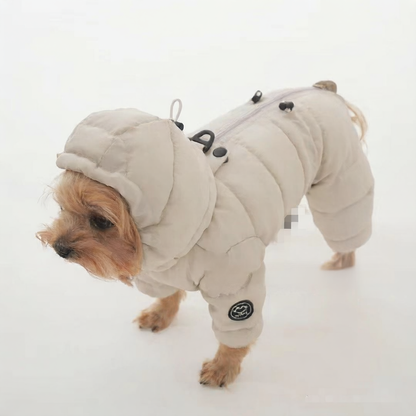 pet clothing