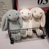 Bunny Rabbit Plush Toy